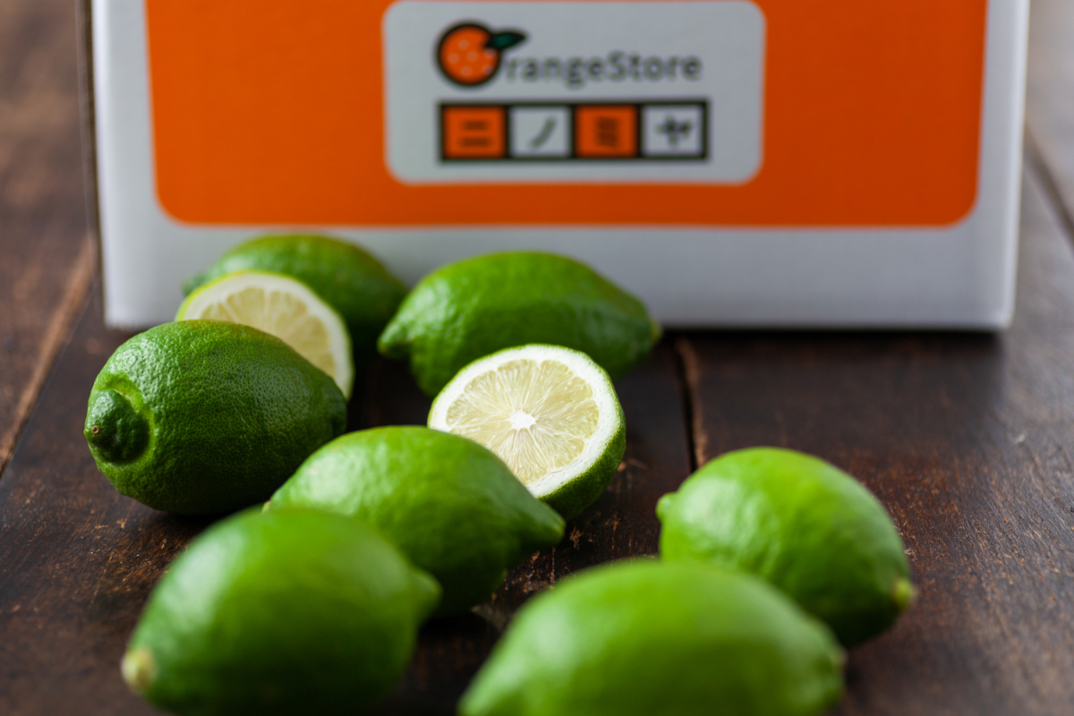 【初夏の香り、すっきり爽快。】もぎたてグリーンレモン　4kg【C49-102】【1636534】 YWTZ087