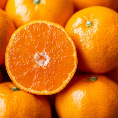 【愛媛名産】玉宝みかん【雫・・小玉】 3kg【C64-29】【1510738】