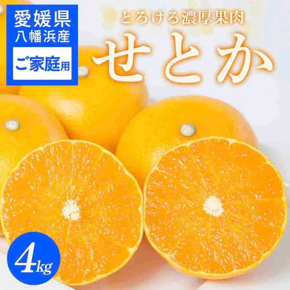 【先行受付】 【ご家庭用】せとか 4kg みかん 愛媛県 八幡浜産市 西宇和地区 柑橘の女王【C25-298】【1712733】 YWTAP239