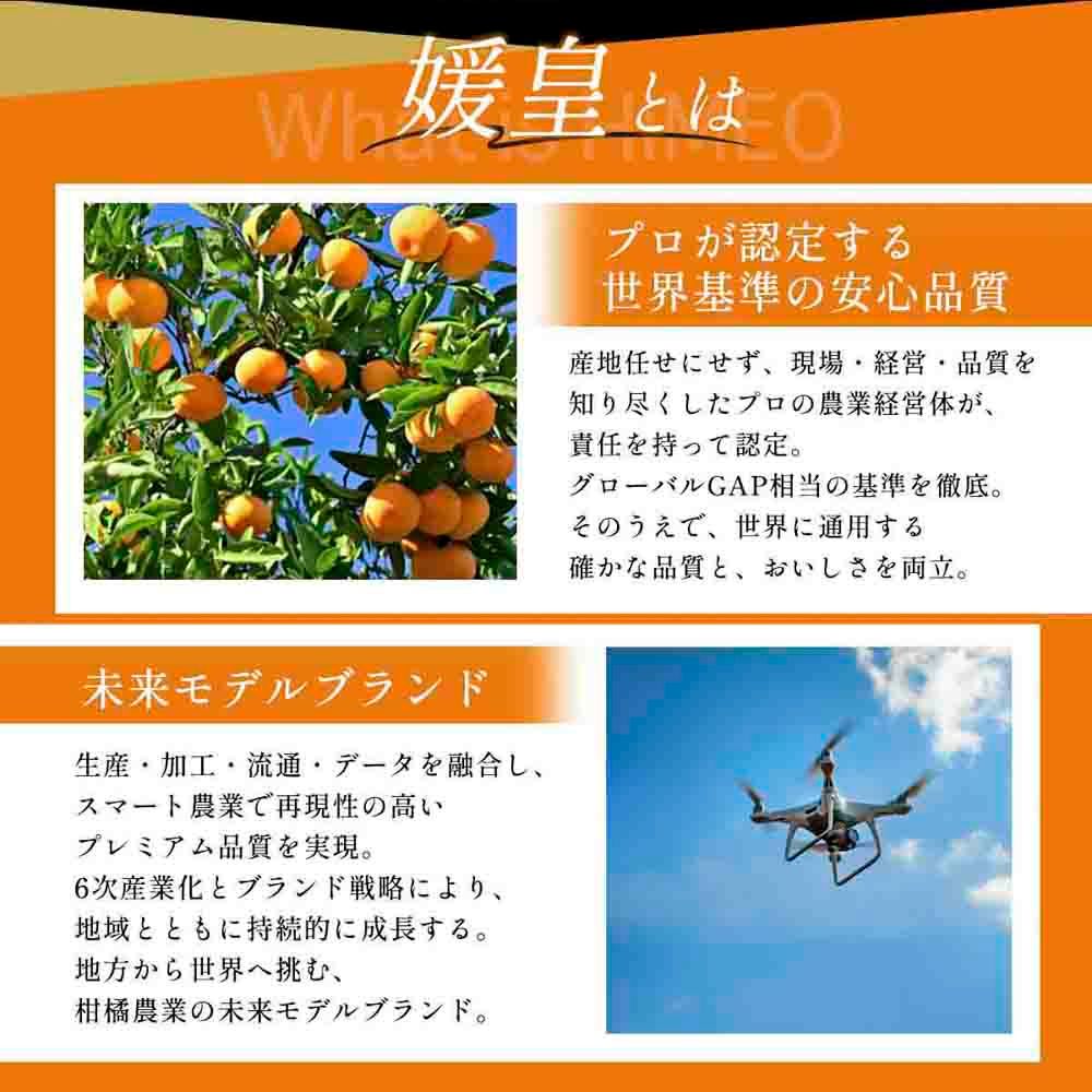 【先行受付】 最高級みかん 媛皇 せとか 4kg 愛媛県 八幡浜市 西宇和地区 柑橘の女王【F25-295】【1712701】 YWTAP236