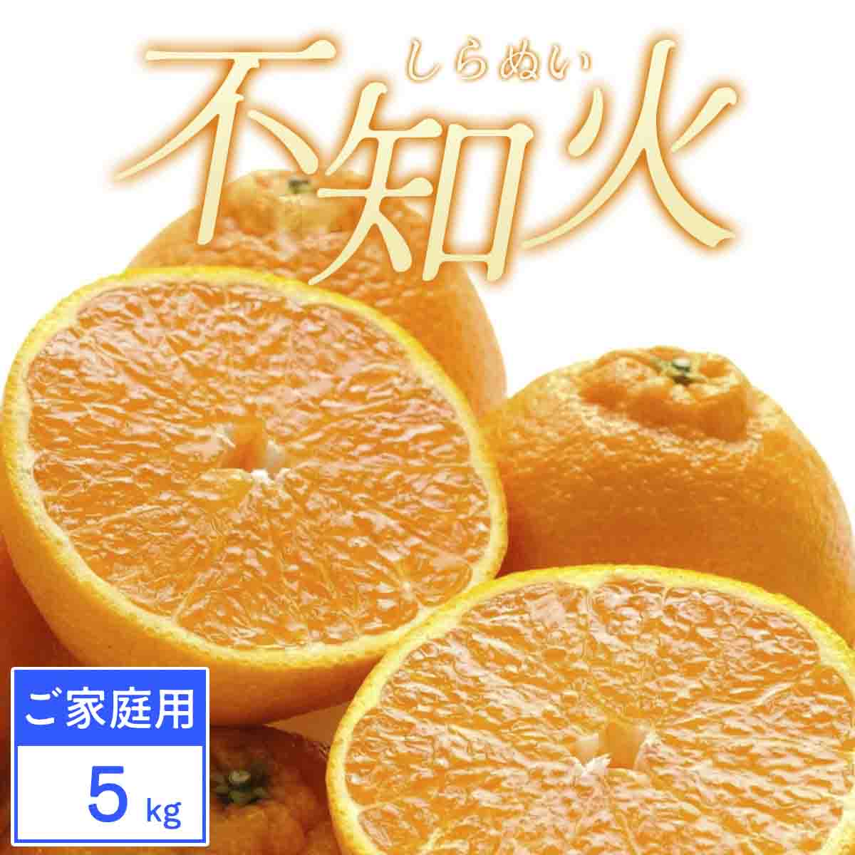 【ご家庭用】不知火 5kg みかん 愛媛県 八幡浜市 西宇和地区【C25-388】【1718388】 YWTAP329