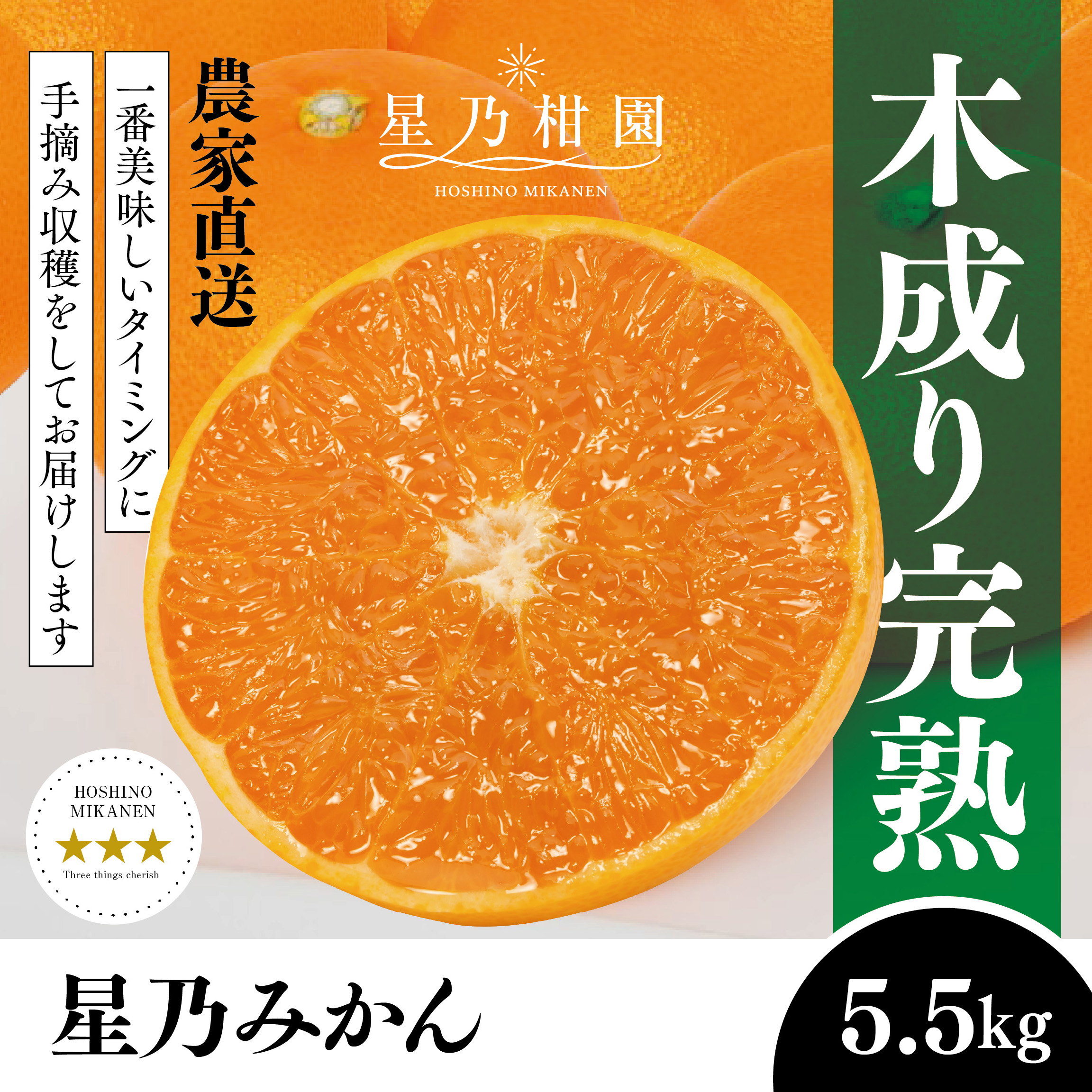 【三つ星ブランド】星乃みかん(5.5kg)【C45-99】【1652556】 YWTAZ061