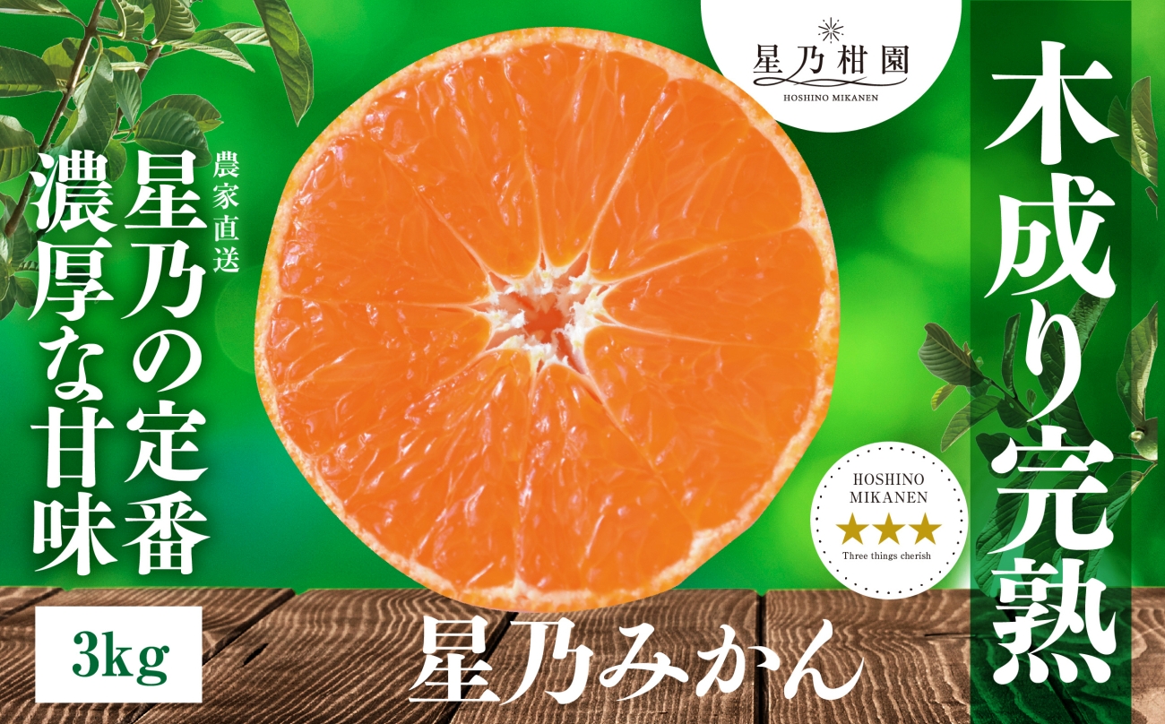 【三つ星ブランド】星乃みかん(3kg)【A45-96】【1625777】