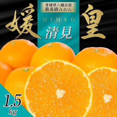 最高級みかん 媛皇 清見 1.5kg 愛媛県 八幡浜市 西宇和地区 柔らかい果肉【C25-347】【配送不可地域：離島】【1716839】