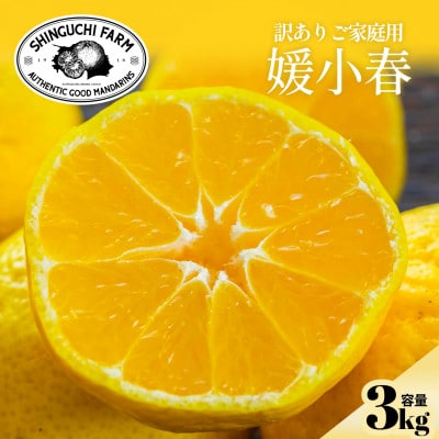 【数量限定】今シーズン発送!【訳あり】媛小春 3kg【C70-162】【1710482】