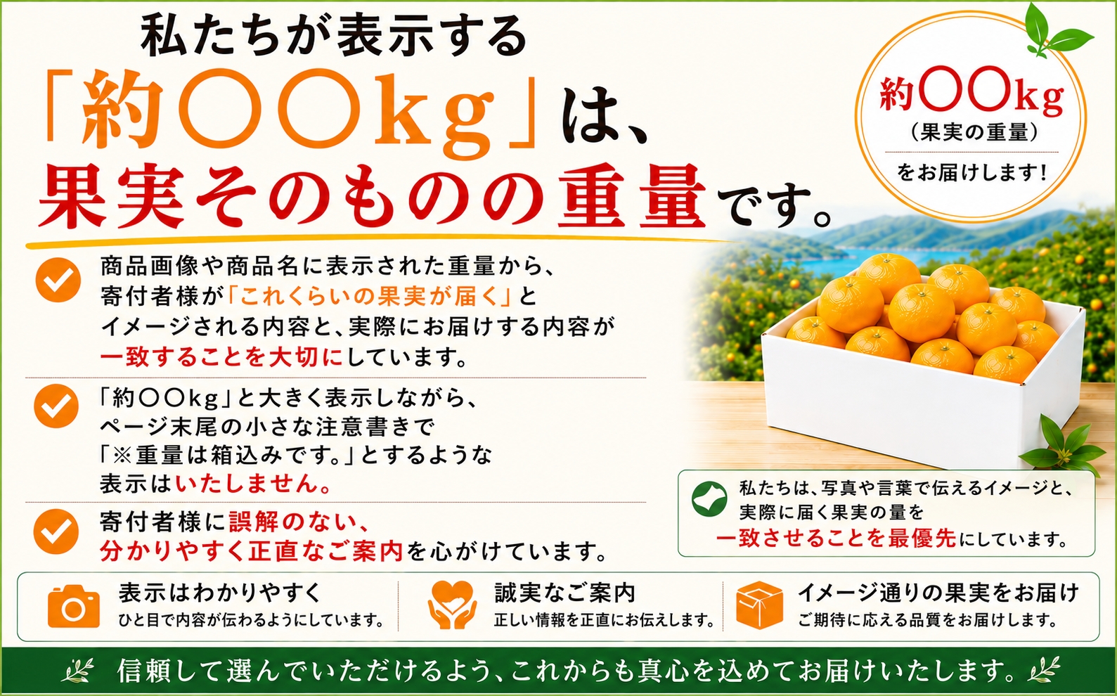【先行受付】【訳あり品です】甘さにニッコリ・なめらか食感！日本最大級の柿！「富士柿」約５キロ【39-90】YWTF065