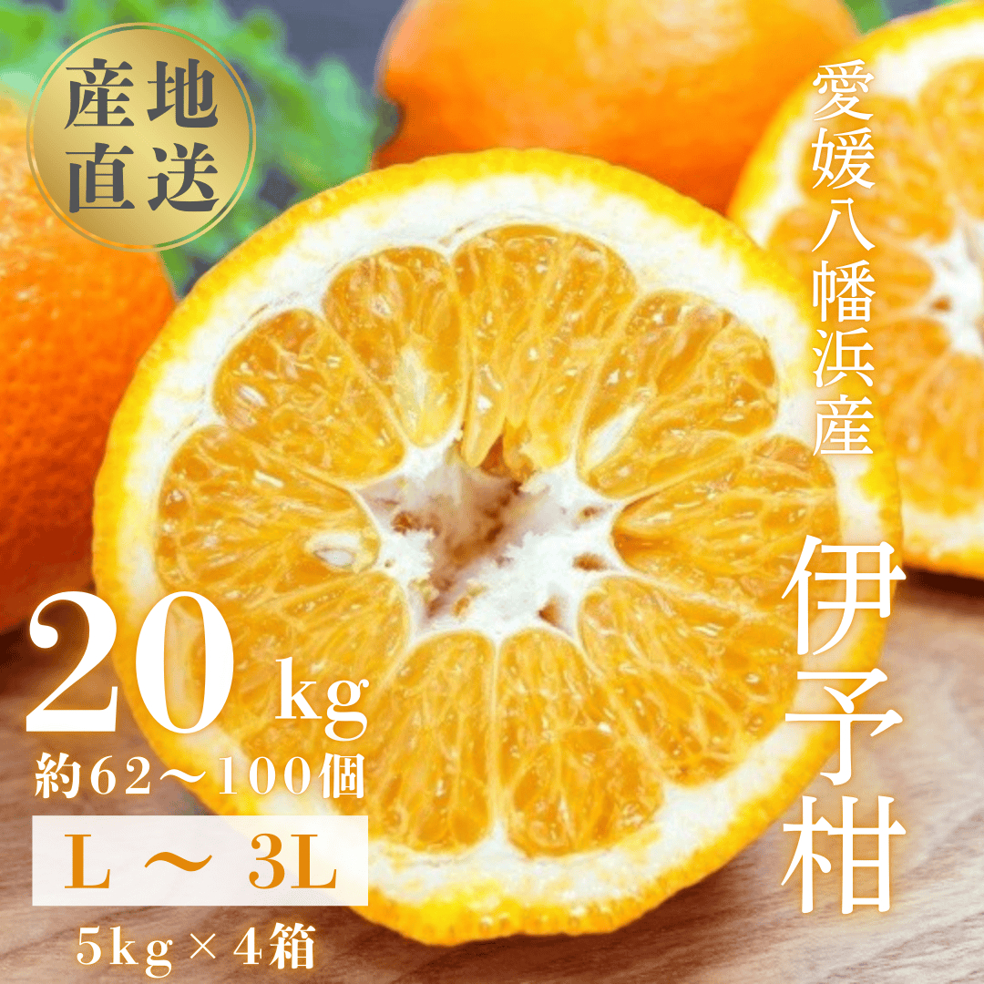 【爽やか香りと柔らかジューシーな果肉】愛媛八幡浜産 宮内伊予柑 20kg【H20-95】【1625452】 YWTI090