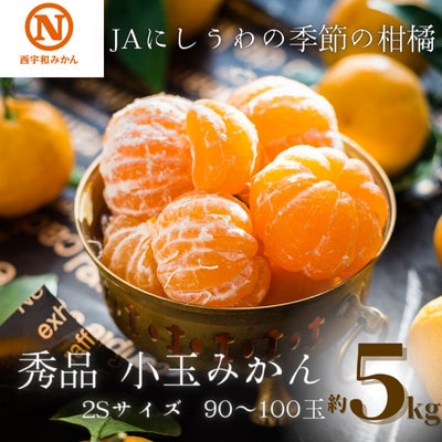 JAにしうわの季節の柑橘(八幡浜共選「秀品2S小玉みかん」約5kg)【C08-73】【1443230】