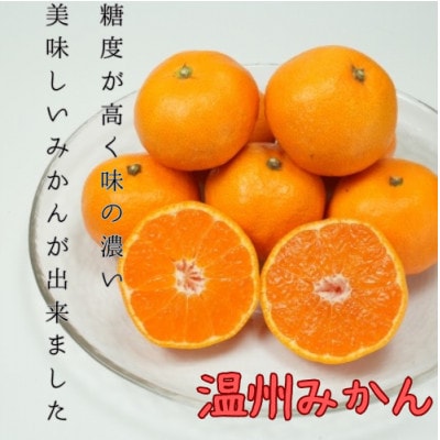 愛媛県八幡浜産 極甘みかん 5kg【D96-2】【1670376】