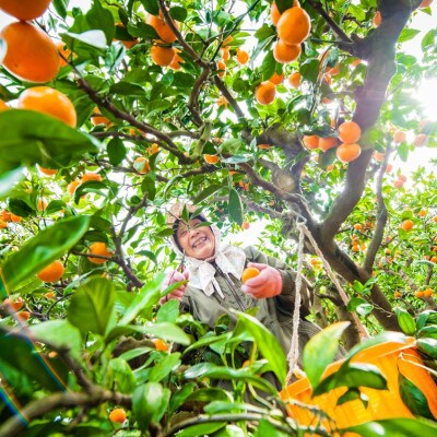 縺セ繧九#縺ィ蝪ゥ貍ャ縺代↓縺励◆縺ソ縺九s繧剃スソ逕ィ 蝪ゥ縺ソ縺九s蟇貞、ゥ繧シ繝ェ繝シ6 譛ャ繧サ繝繝 繧ョ繝輔ヨ邂ア蜈・縲燭25-61縲代1231054縲