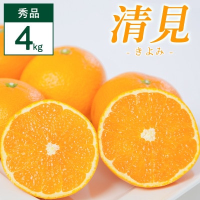 清見 4kg 愛媛県 八幡浜市 西宇和地区 柔らかい果肉【D25-352】【配送不可地域：離島】【1716860】