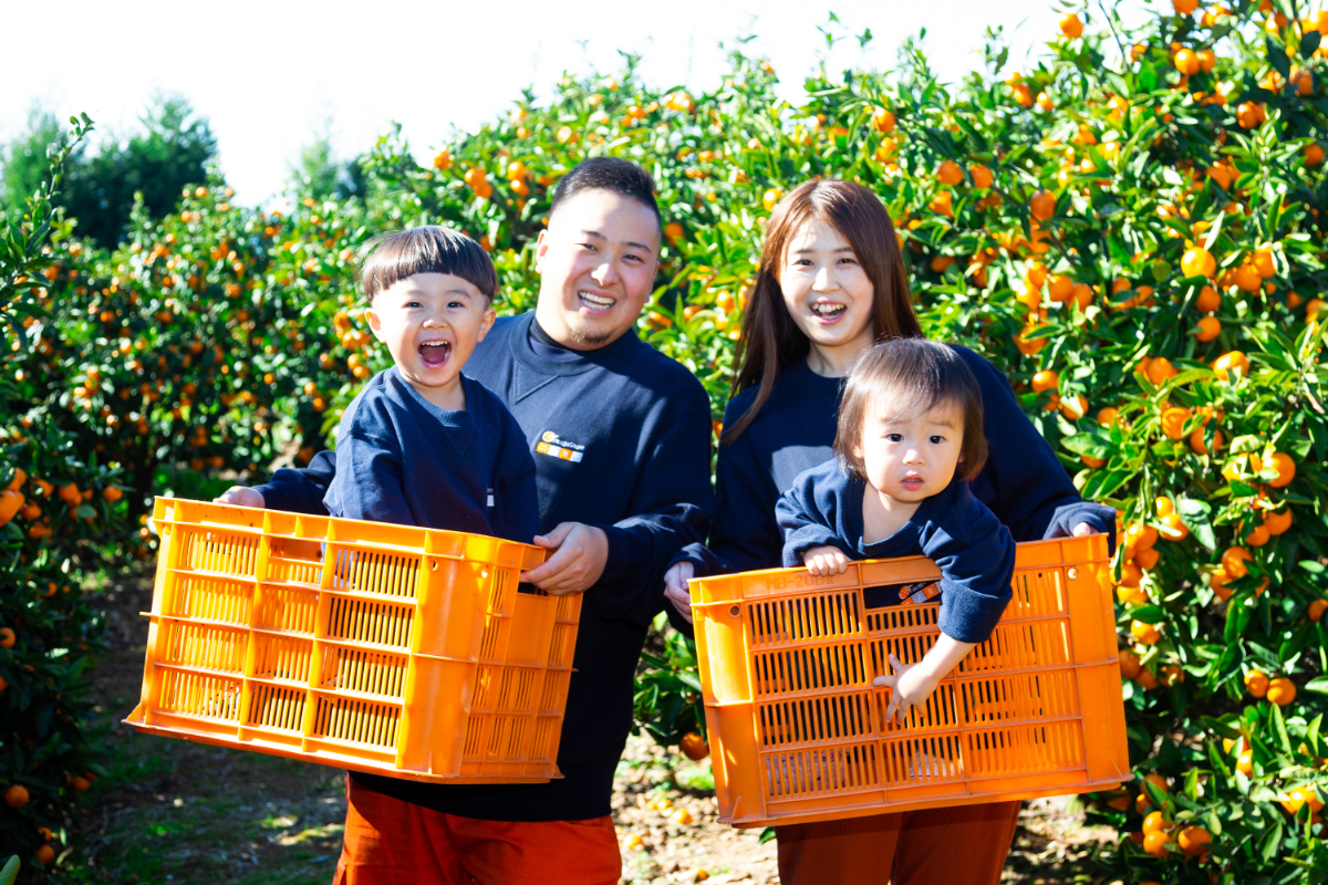 【甘みが濃縮されたみかん】愛媛で育った夕やけみかん【極】20kg【H49-29】【1508883】 YWTZ021