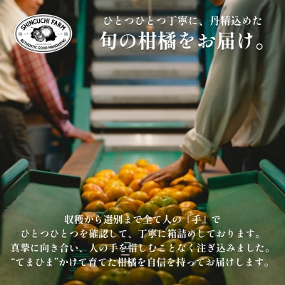 ãé»è²ãã®ã«é©ãã®çããåªå°æ¥ 3kgãèè蟲家å³éžããE70-61ãã1592112ã