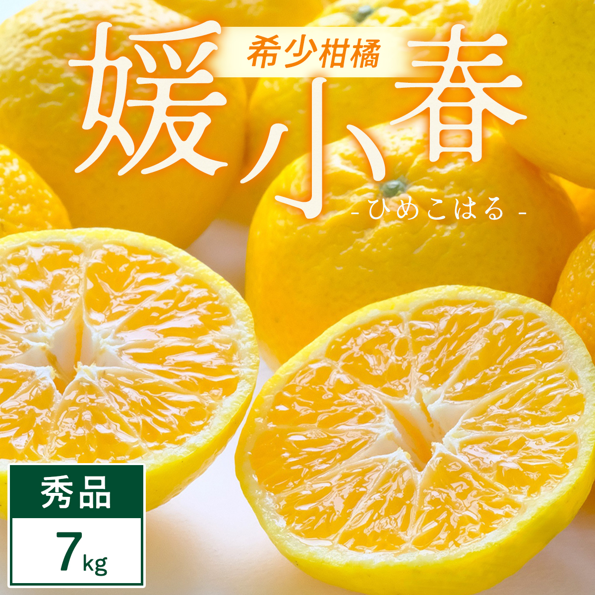 ãå
è¡åä»ãåªå°æ¥ 7kg æåªç å
«å¹¡æµåž 西å®åå°åº åžå°ãªå¹»ã®ææ© é»è²ãã¿ãããG25-346ãã1715611ã YWTAP287