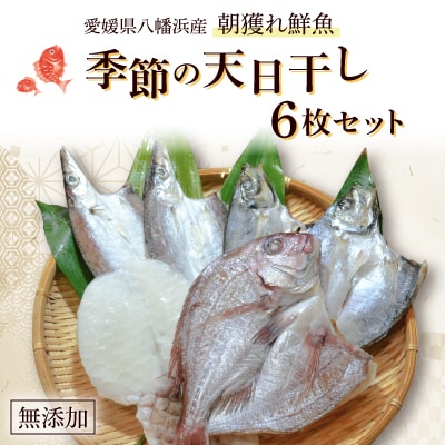 無添加・天日干し　ピチピチ朝獲れ鮮魚の天日干し　6枚【C26-7】【配送不可地域：離島】【1044327】