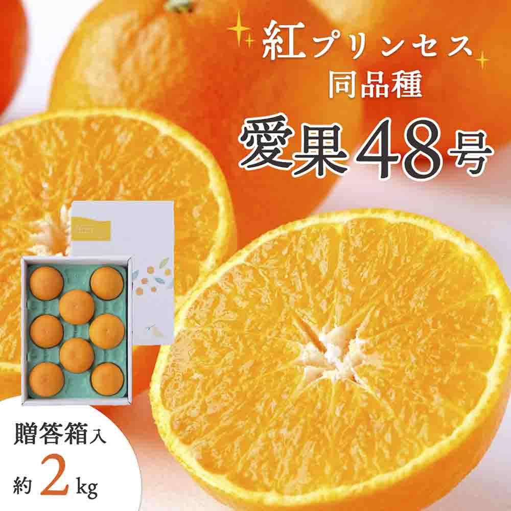 「紅プリンセス」と同品種!愛媛果試48号 贈答箱入り 約2kg【E25-182】【1607366】 YWTAP123