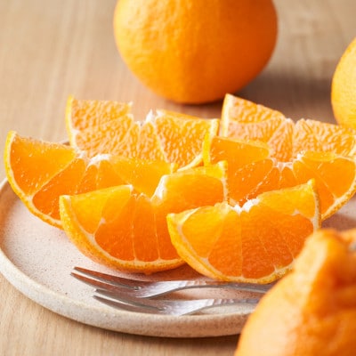 ã倪éœããã£ã·ã济ã³ãããã³(äžç¥ç«)ãæ¥µã10kgãH49-47ãã1509744ã