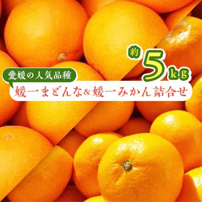 【先行受付】「媛一みかん」と「媛一まどんな」の2品種・約5kg【C28-29】【1119673】 YWTN021