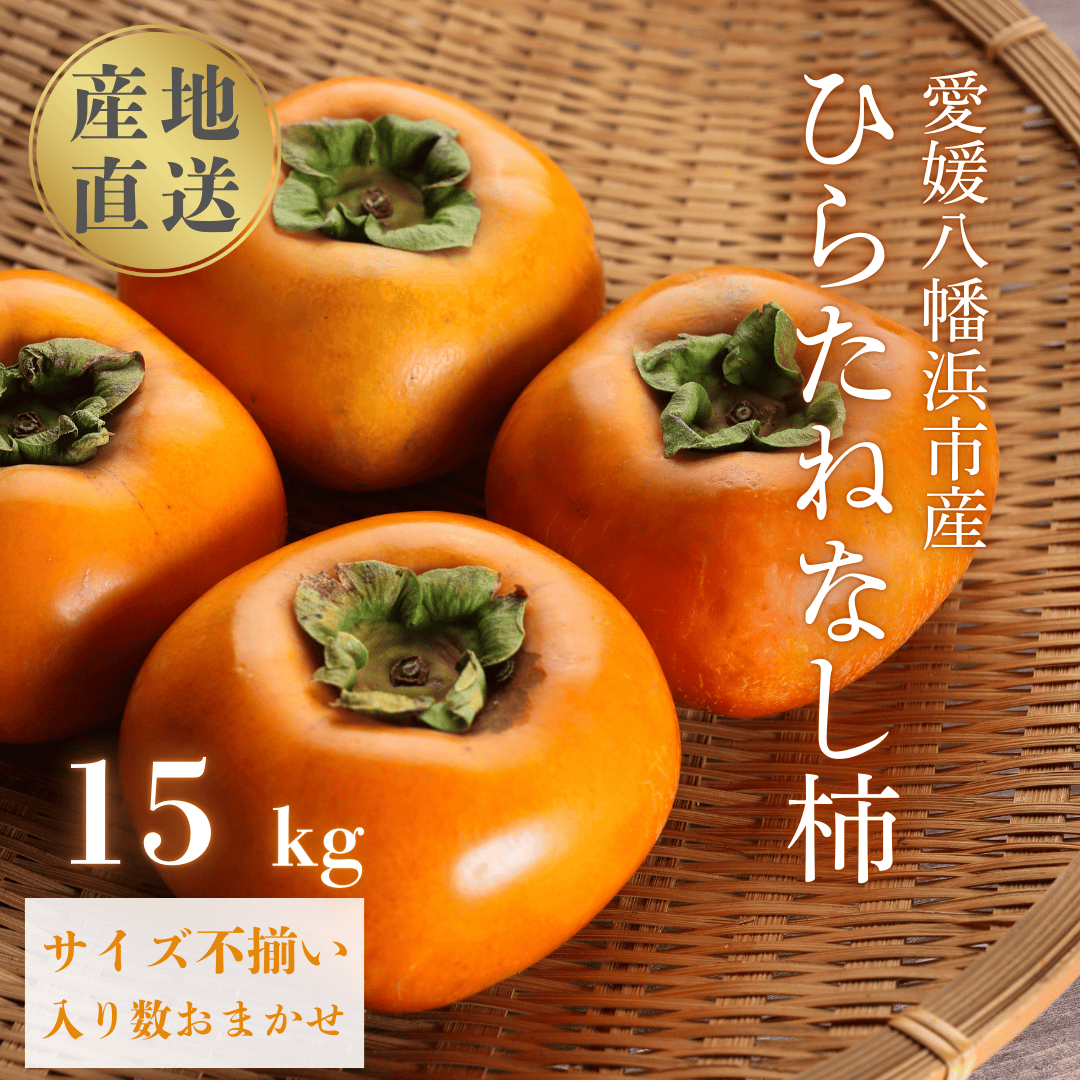 《秋の味覚 種なしで食べやすい》 ひらたねなし柿 15kg (7.5kg×2箱)【H20-40】【1594098】 YWTI035