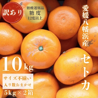 【みかんの大トロ】糖度12.0以上酸1.4以下 糖酸選別品 訳あり愛媛セトカ10kg【G20-75】【1620329】