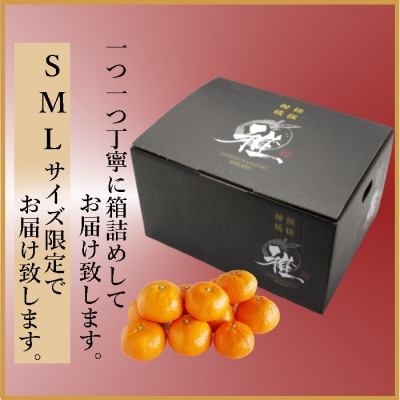 極撰柑橘【雅プレミアム】糖度保証・光センサー合格品「八幡浜温州みかん」約3キロ【C39-63】【配送不可地域：離島】【1614679】