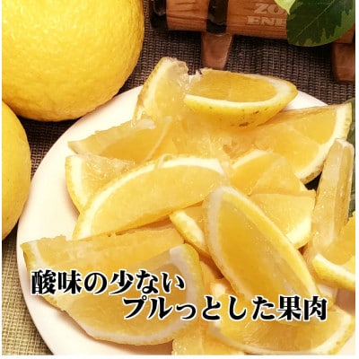 2026年2月発送開始　ジューシーな甘さ!「はるか」約5キロ　【C39-7】【配送不可地域：離島】【1280653】
