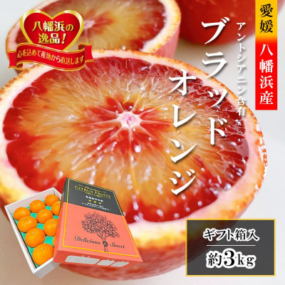 2026年3月出荷開始　アントシアニン含有!「ブラッドオレンジ」約3キロ 【C39-9】【配送不可地域：離島】【1280627】