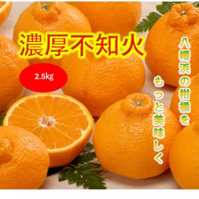 みさき果樹園で栽培・収穫・段々畑育ちの濃厚不知火2.5kg【A21-64】【1706100】
