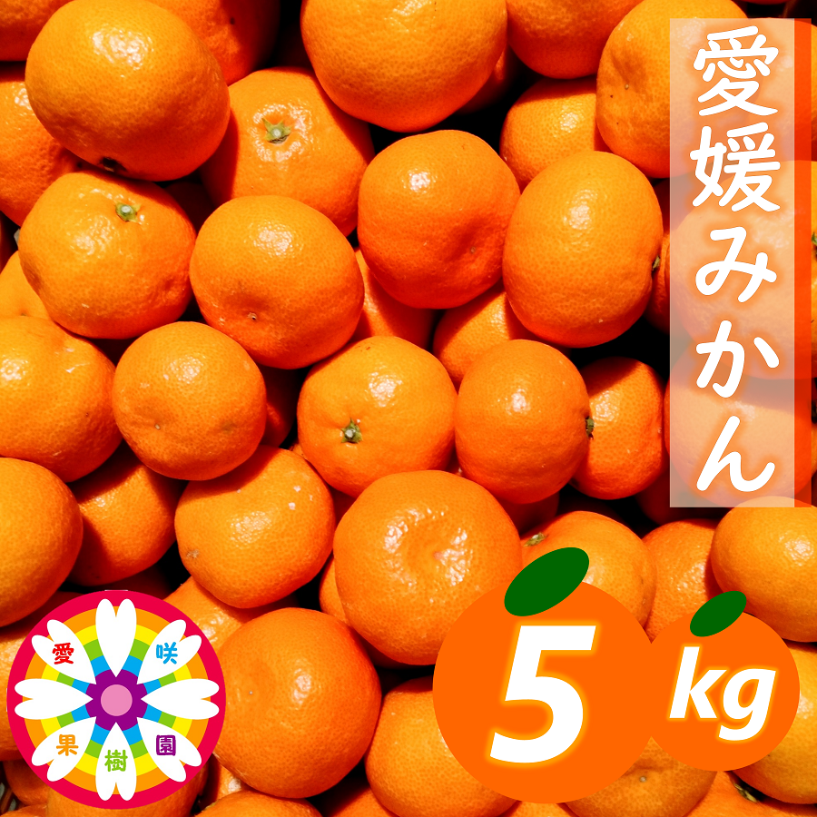 【先行受付】「 愛媛 みかん 」約5kg《 愛咲果樹園 》【C71-5】【1331483】 YWTS005