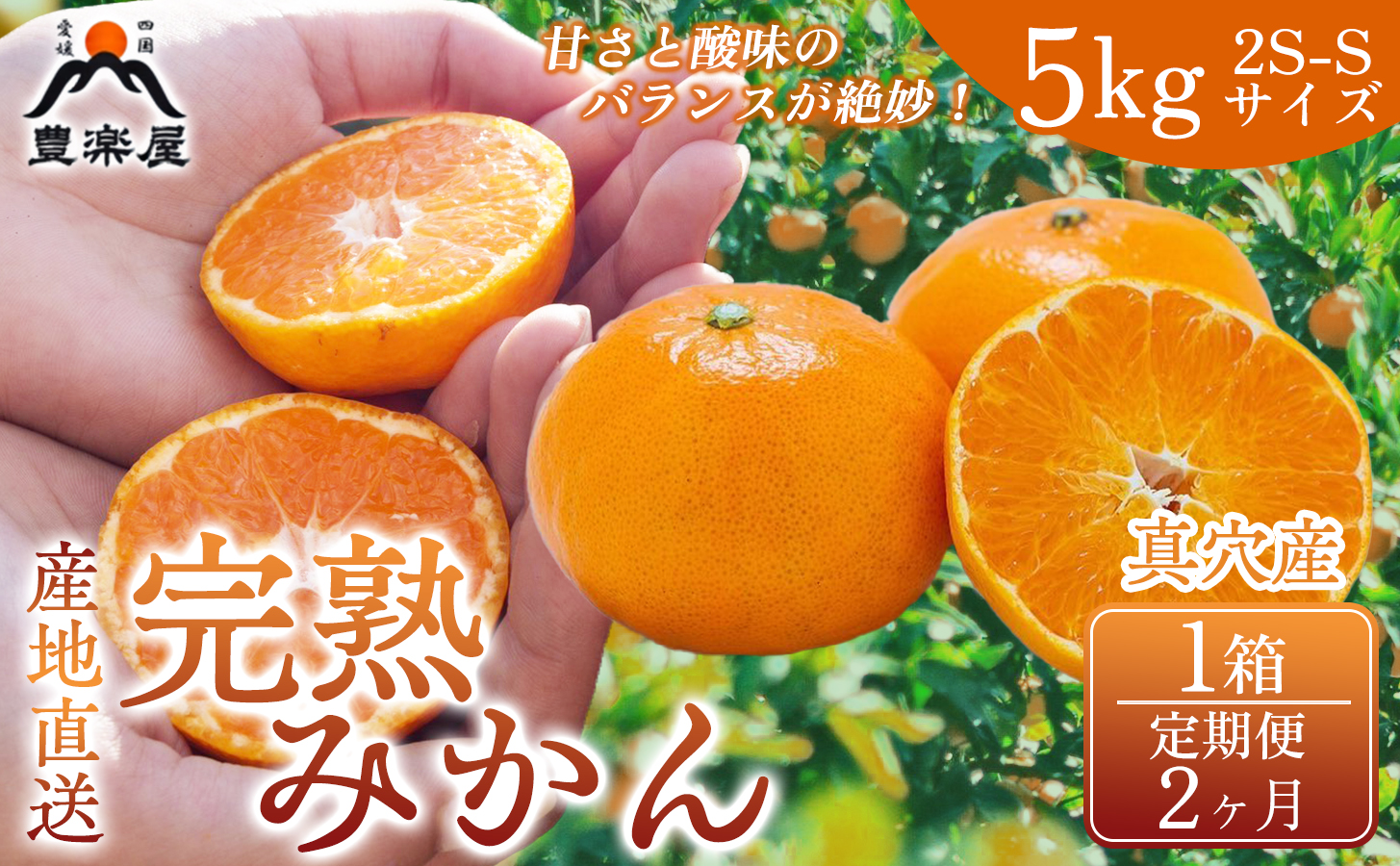 【定期便2ヶ月】【みかん本来の甘みを農家直送でお届け！】果汁たっぷり真穴産みかん 完熟みかん 5kg サイズ2S~S 1箱 全2回【98-21】YWTBU022