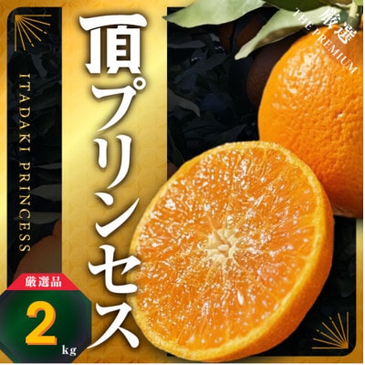 【紅プリンセス同品種】愛媛県産 新品種柑橘 愛果48号【甘平×まどんな】2kg【D31-56】【1660048】