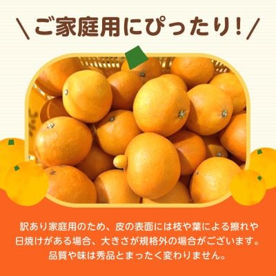 計4.5キロ 訳あり代々橙まどんな3.5kg+代々橙みかん1kg(家庭用サイズ混合)【C83-20】【1556521】