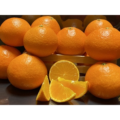 太陽と海のまどんな2.5kg【家庭用】【C73-7】【1491885】