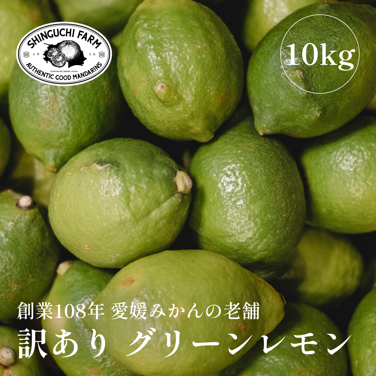 【先行受付】【防腐剤・ワックス不使用】愛媛県産【訳あり】グリーンレモン 10kg【F70-54】【1550697】 YWTK054