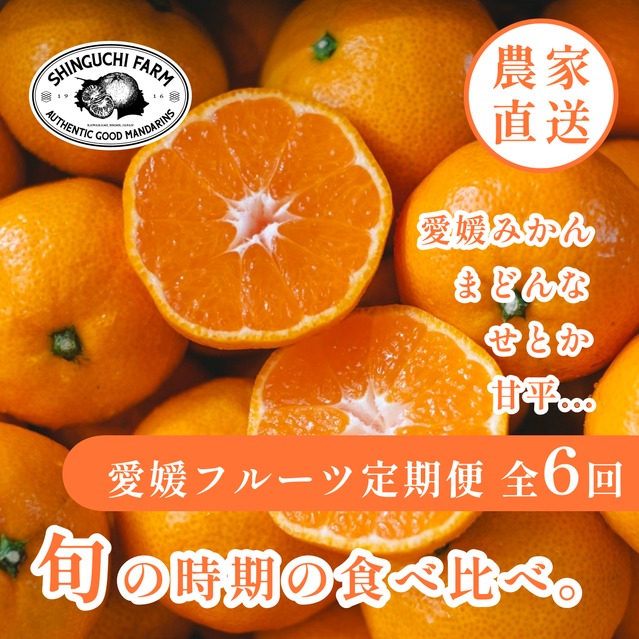 【発送月固定定期便】愛媛の美味しい柑橘 人気6品種 まどんな・甘平・せとか等【H70-41】全6回【4055158】 YWTK041