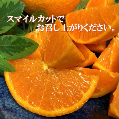 2026幎2æãé æ¬¡åºè·ãææ©ã®å€§ãããããšããçŽ2kg ãC39-55ããé
éäžå¯å°åïŒé¢å³¶ãã1462367ã