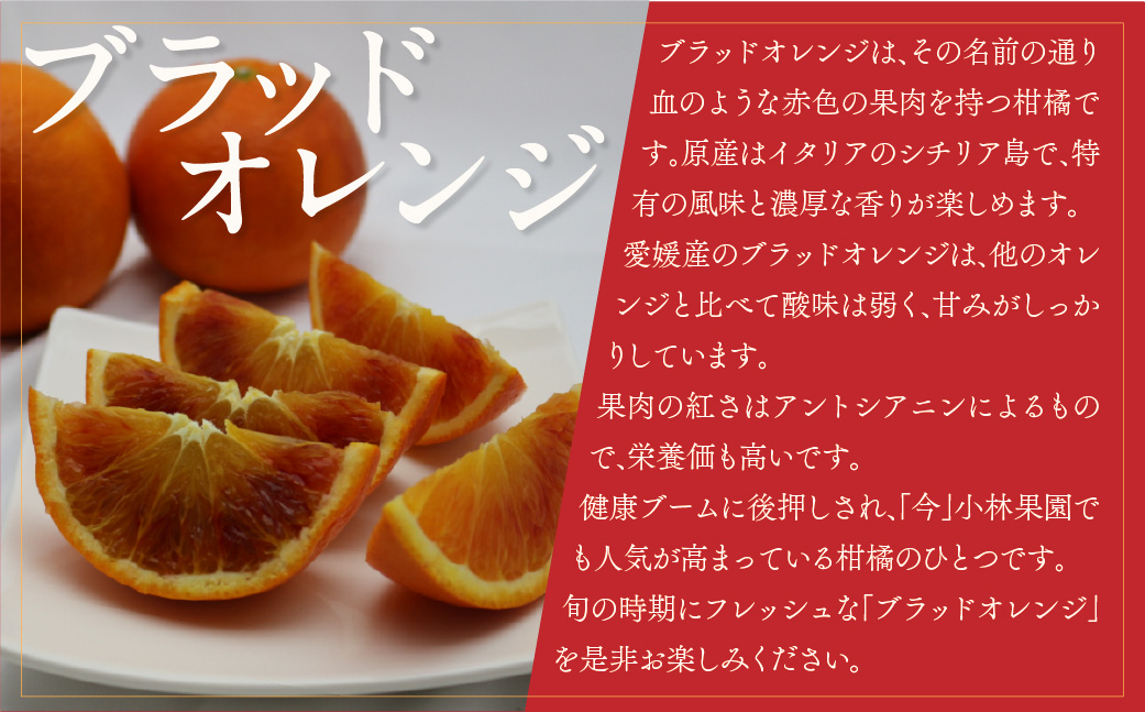 縲仙郁。悟女莉倥大ー乗棊譫懷恍縺ョ繝悶Λ繝繝峨が繝ャ繝ウ繧ク(邏5kg)縲燭24-24縲 YWTAD017
