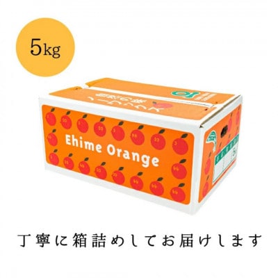 【糖度14.0以上酸1.4以下】糖酸選別品 愛媛産 不知火 (しらぬひ) 5kg【D20-61】【配送不可地域：離島】【1620228】