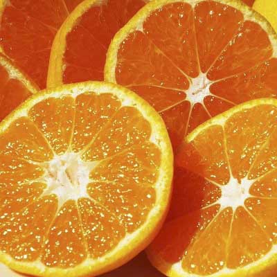 【2026年11月以降発送】濃厚な味わい「和」なごみ(みなの共選・家庭用)約5kg【C28-28】【1122343】 YWTN020