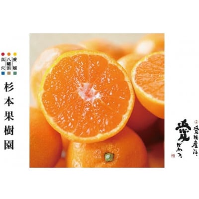 【2025年12月以降発送】〈特選〉真穴、杉本果樹園の八寿みかん(南柑20号)5kg【D34-23】【1510694】