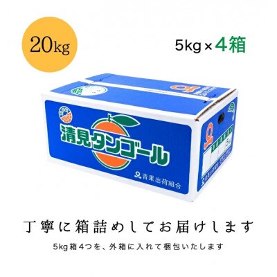 【まるで食べるジュース!越冬完熟品】愛媛産 訳あり 清見オレンジ 20kg【H20-35】【1594863】