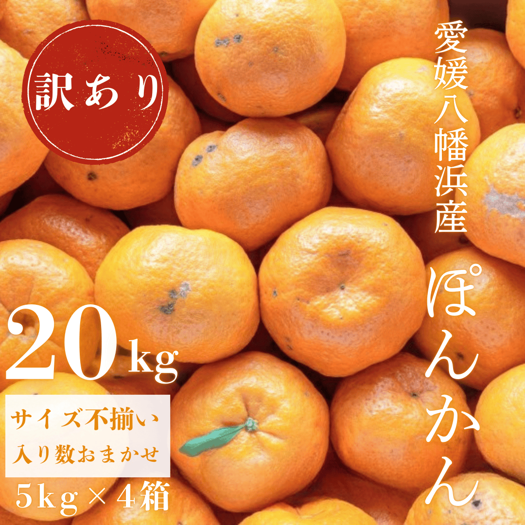 【南国を感じさせる独特の香り】訳あり 愛媛ポンカン 20kg【G20-71】【1620343】 YWTI066