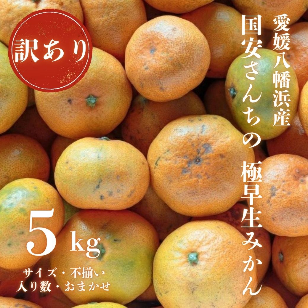 ã嵿¥85幎 芪å4代 æåªã¿ãã äžçãæåªå
«å¹¡æµç£ èš³ãã æ¥µæ©çã¿ãã 5kgãC20-46ãã1594915ã YWTI041