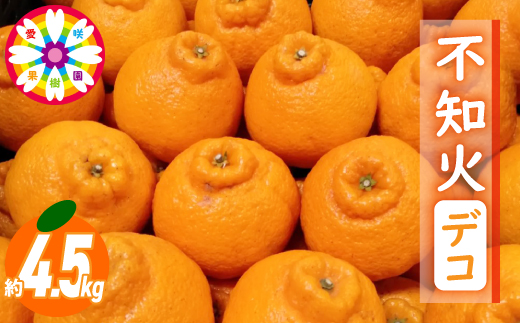 愛咲果樹園 「 不知火 ( デコ )」約4.5kg【C71-12】【1344721】