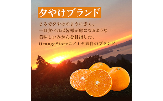 【夕やけブランド】ぷるぷる食感【まどんな】5kg　※紅まどんな と同品種【H49-80】【1621088】