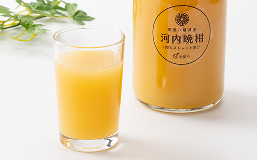 æ²³å
æ©æãžã¥ãŒã¹(ã¹ãã¬ãŒã)720mlÃ12æ¬ãH56-79ãã1668628ã