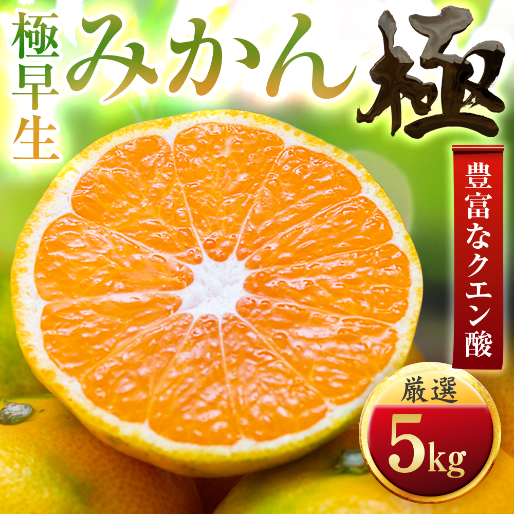 【太陽をたっぷり浴びた】極早生みかん【極】5kg(小玉)【C49-34】【1508897】 YWTZ026