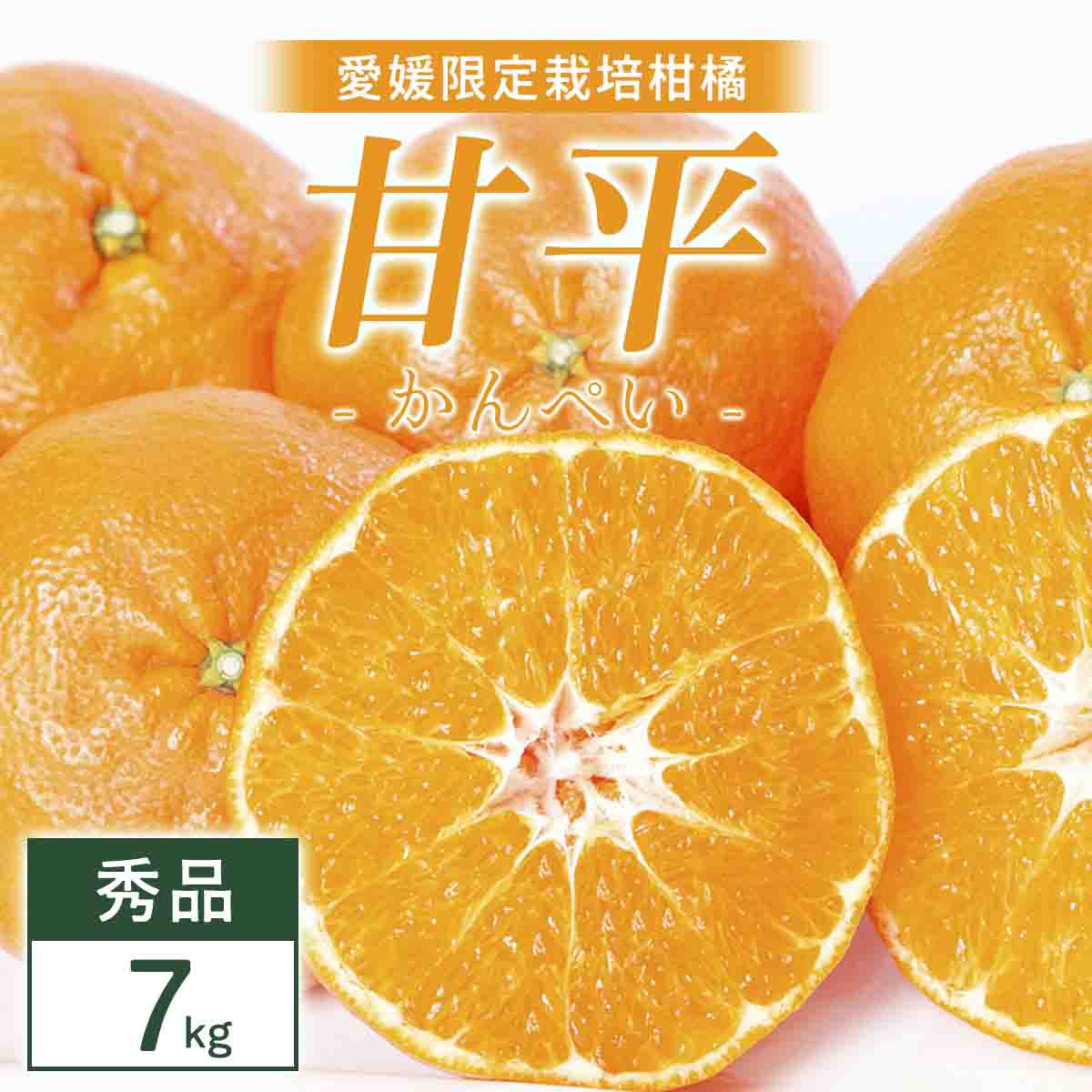 甘平 7kg 愛媛県 八幡浜市 西宇和地区 扁平で濃い味【H25-332】【1714521】 YWTAP273