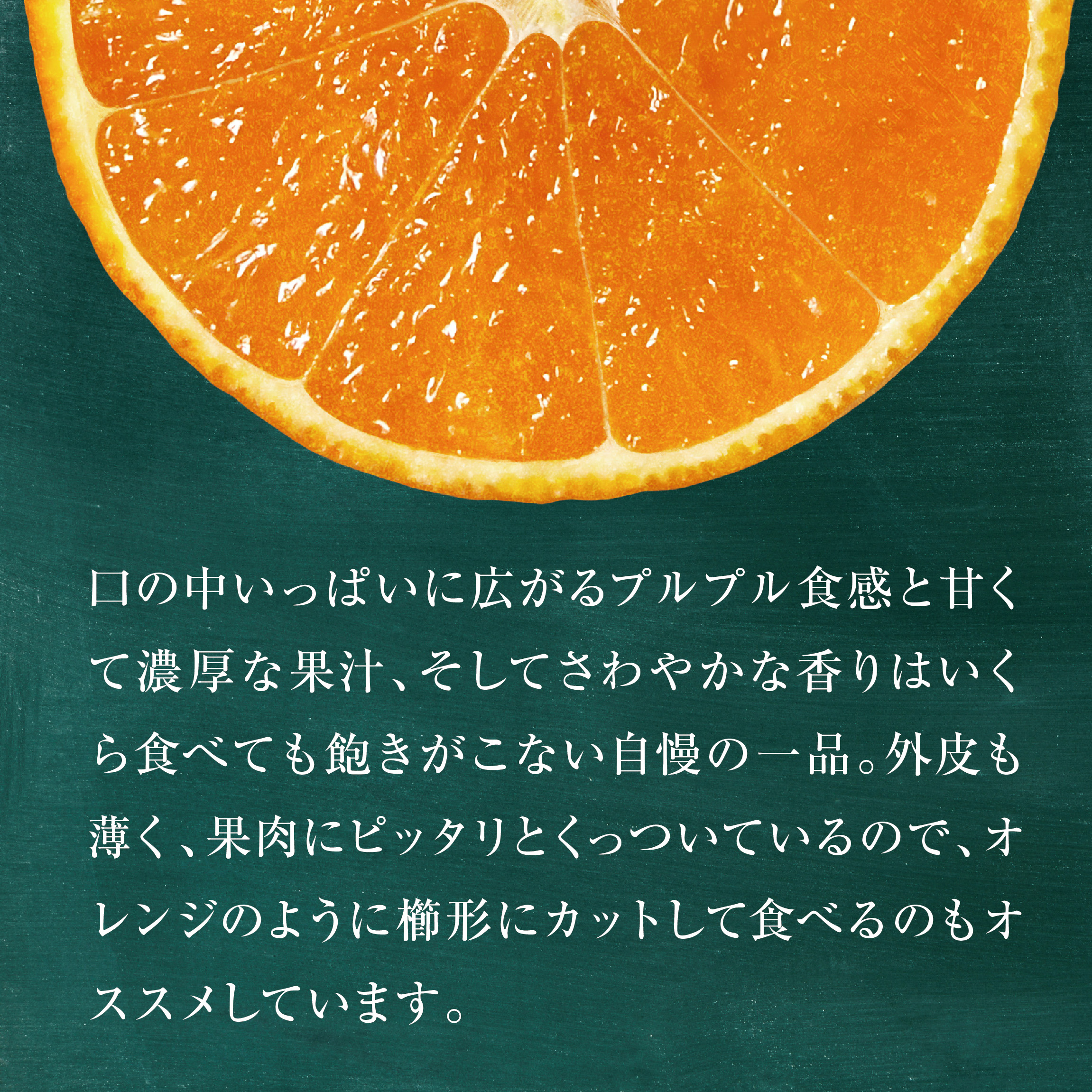 【三つ星ブランド】訳あり 星乃まどんな(2kg)【C45-91】【1625773】 YWTAZ053