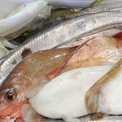 ç«¹äžæ°Žç£ã®å
«å¹¡æµçº!ãé奜ãã«ã¯ããŸããªã!é®®éBOXããF22-135ããé
éäžå¯å°åïŒé¢å³¶ã»åæµ·éã»æ²çžçãã1043165ã